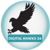 Digital hawks 24 Logotype
