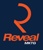 Reveal Marketing Group Inc. Logotype