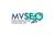 MVSEO Agency Logotype