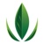 Sage Consulting Group Logotype