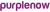 Purplenow. Inc Logotype