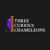 Three Curious Chameleons Logotype
