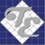 Taney Engineering Civil Engineering & Land Surveying Logotype