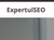 Expertul SEO Logotype