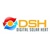 Digital Solar Corp. Logotype