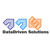 Data Driven Solutions Logotype