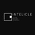 Intelicle Ltd Logotype