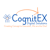 COGNITEX DIGITAL SOLUTIONS Logotype