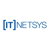 IT Networked Systems Logotype