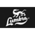 Lumbre Logotype
