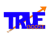 True Boost Digital Logotype