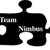Team Nimbus NJ Logotype