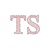 TS Technologies Logotype