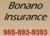 Bonano Insurance Logotype