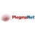 Plegma Net Logotype