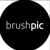BrushPic Logotype