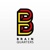 Brainquarters Logotype