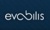 Evobilis International Ltd. Logotype