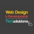 Tim's Solutions Logotype