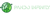 Pando Infinity Logotype