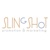 Slingshot Promotions & Marketing Logotype