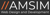 AMSIM Limited Logotype