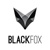 BLACK FOX LLC Logotype
