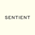 Scintel Technologies, Inc. Logotype