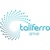 Taliferro Group Logotype