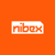 Nibex Logotype