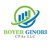 Boyer Ginori CPAs LLC Logotype