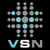 VSN International Pvt. ltd. Logotype