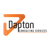 Dapton Consultancy Services Logotype