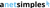 aNetSimples Logotype