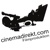 cinemadirekt.com Logotype