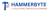 HammerByte Logotype