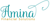 Amina Financial Solutions LLC Logotype