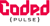 Coded Pulse Logotype