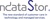 nDataStor Inc Logotype
