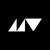 Magnetic Vision Logotype