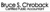 Bruce S Chroback, CPA Logotype