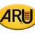 Accounts R Us Logotype
