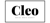 Cleo Social Logotype