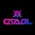 Coadal Technology Pvt. Ltd. Logotype