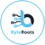 ByteRoots Logotype