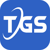 Telegenisys Inc Logotype