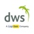 Developing World Systems Ltd Logotype