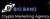Big Bang Digital Logotype