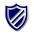 ITNS Consulting Logotype