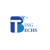 Bingtechs Solutions Logotype